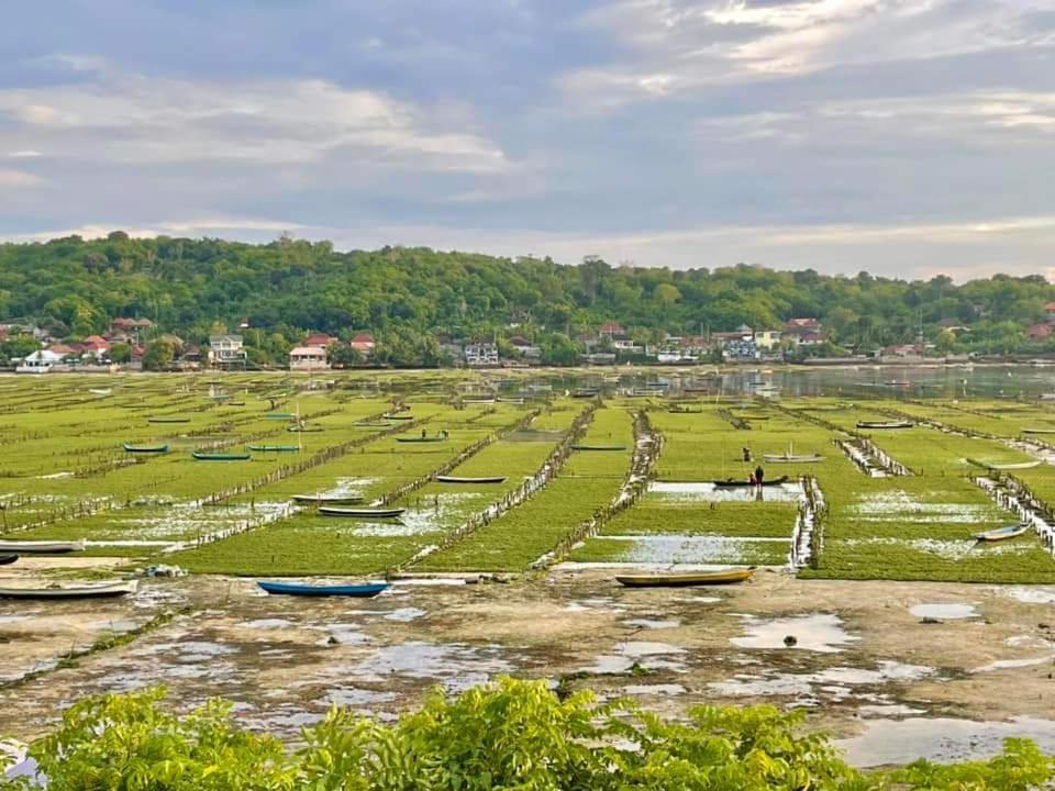 Lebaoh Nusa Cottage Нуса-Лембонган Экстерьер фото